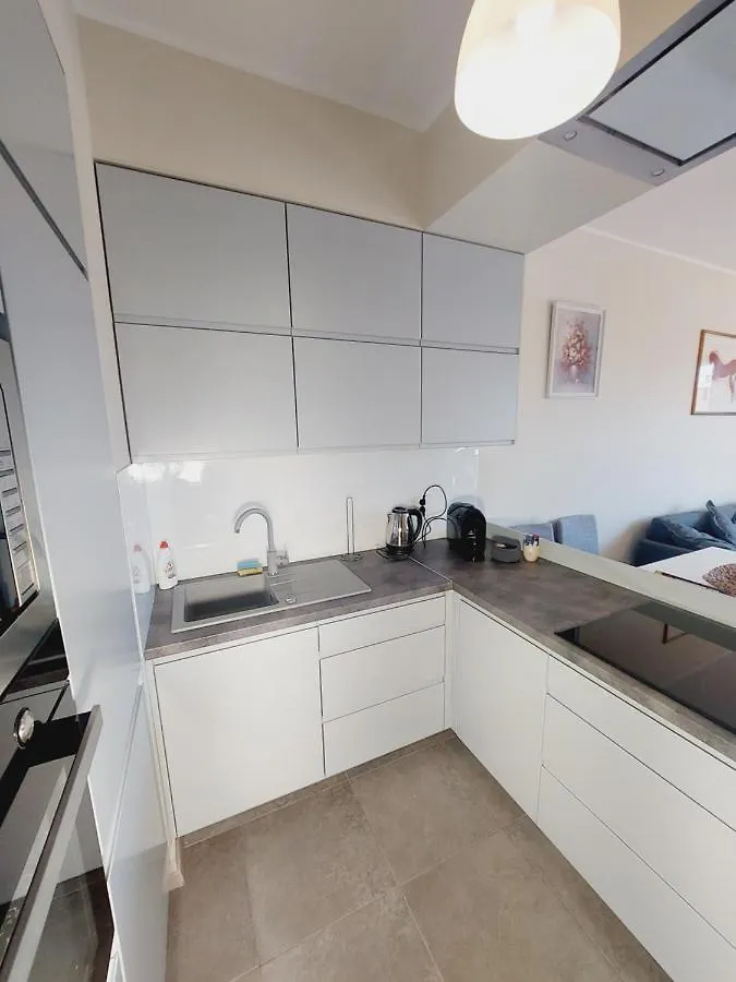 Central Apartments Garnizon 928 & Parking 格但斯克 0*,